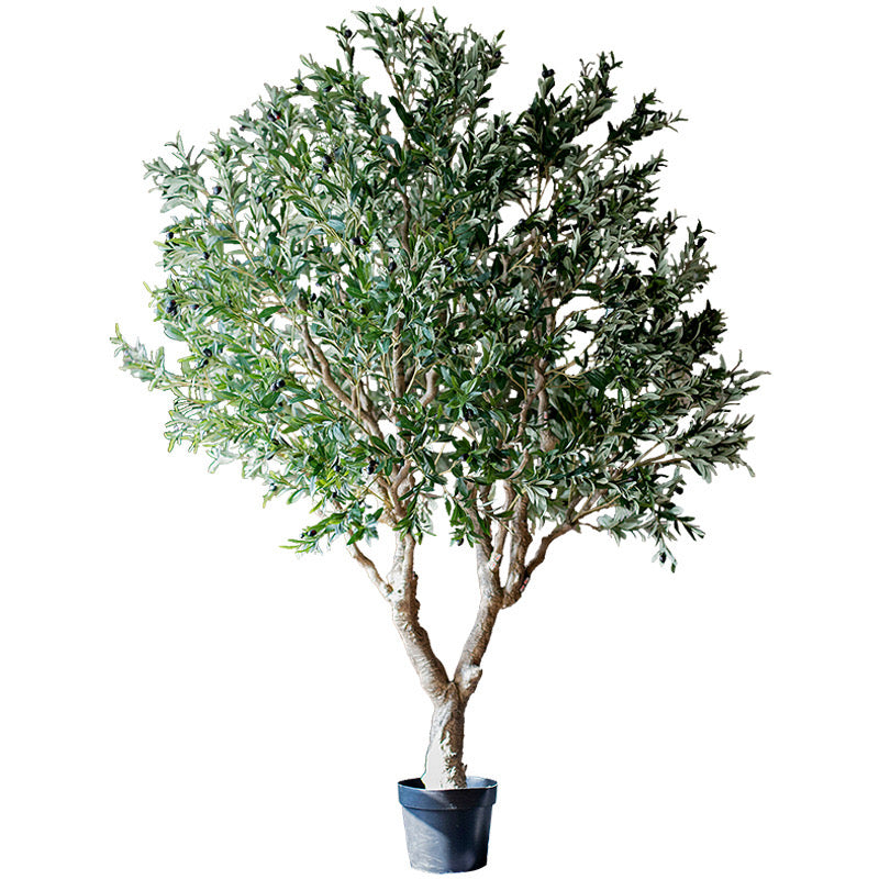 Lifelike faux olive tree with lush green leaves and realistic branches, standing in a simple black planter, perfect for adding a touch of greenery to any interior space