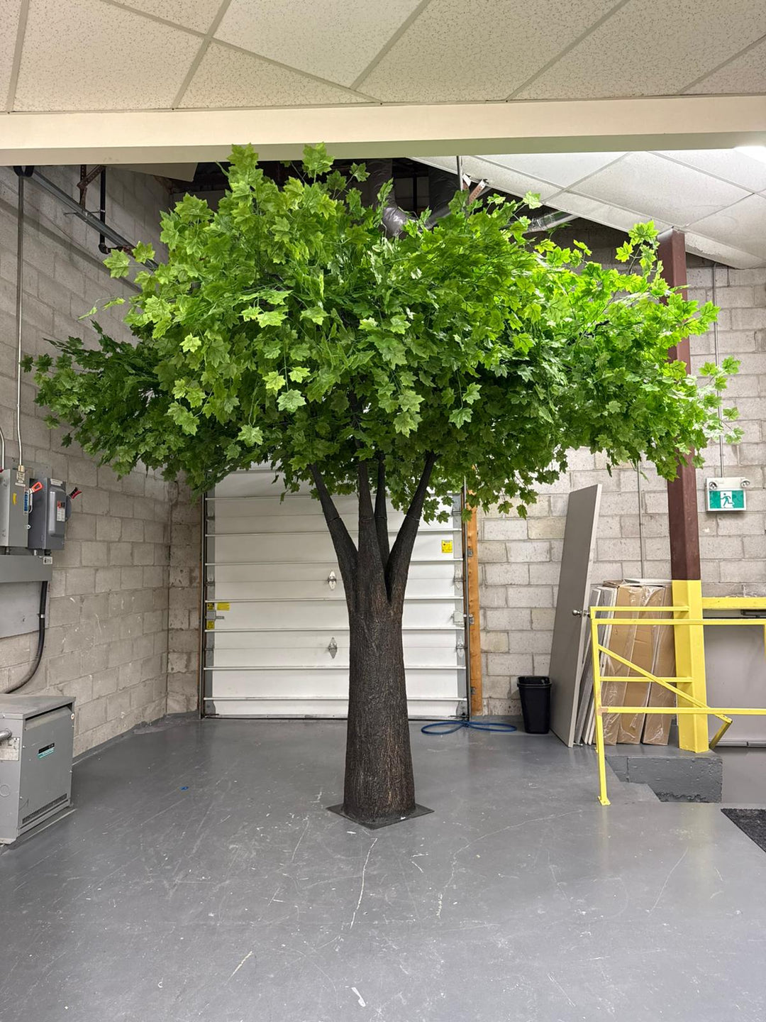 12ft Artificial Canadian Green Maple Tree Rental