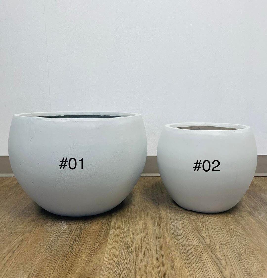grey cement round planters with a smooth finish, placed indoors on a carpeted floor near a window. What are the dimensions and weight of these planters?