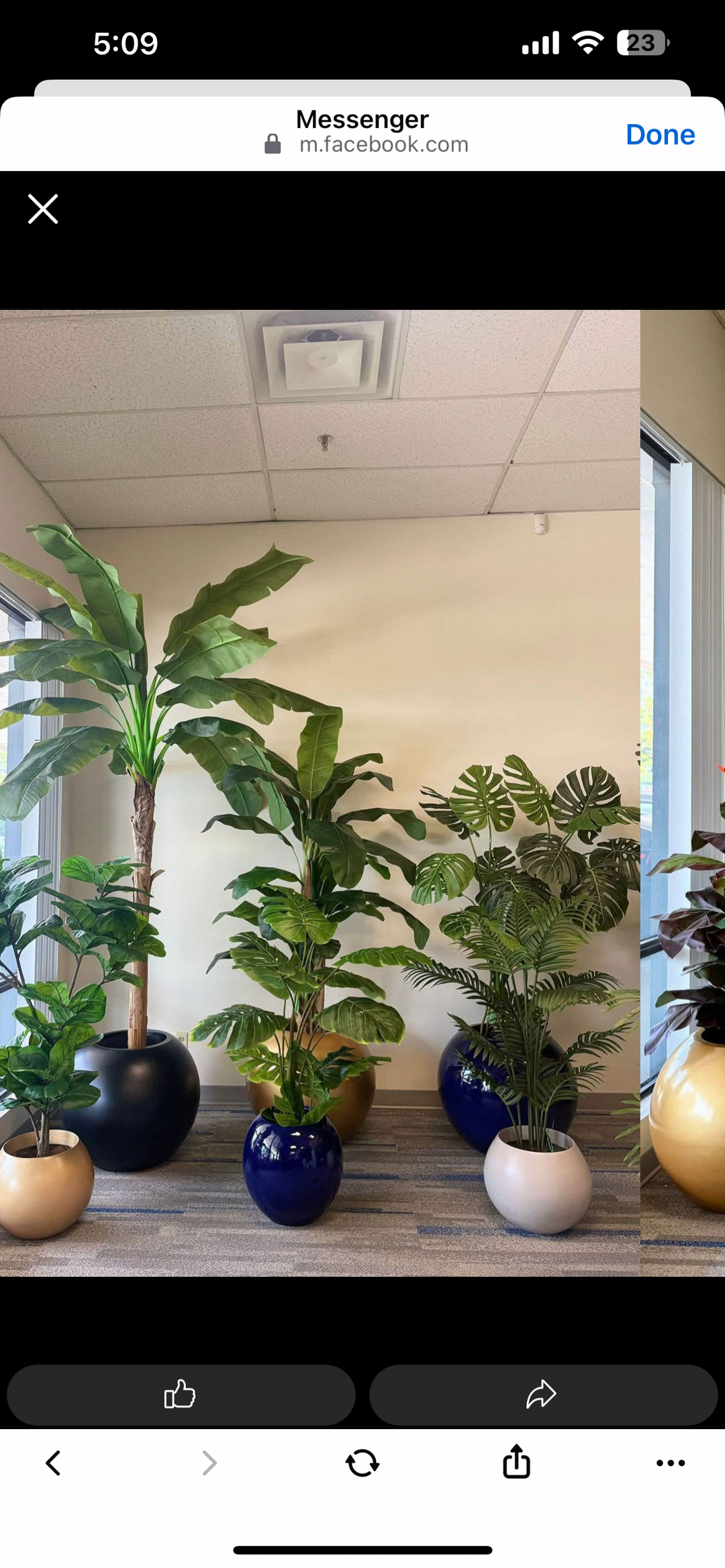 Artificial Plants Rental up to 6ft