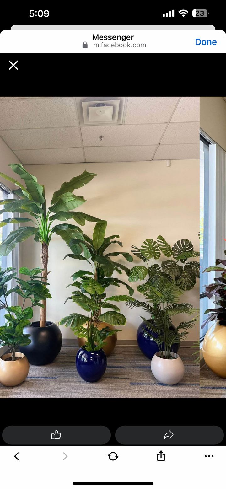 Artificial Plants Rental up to 6ft