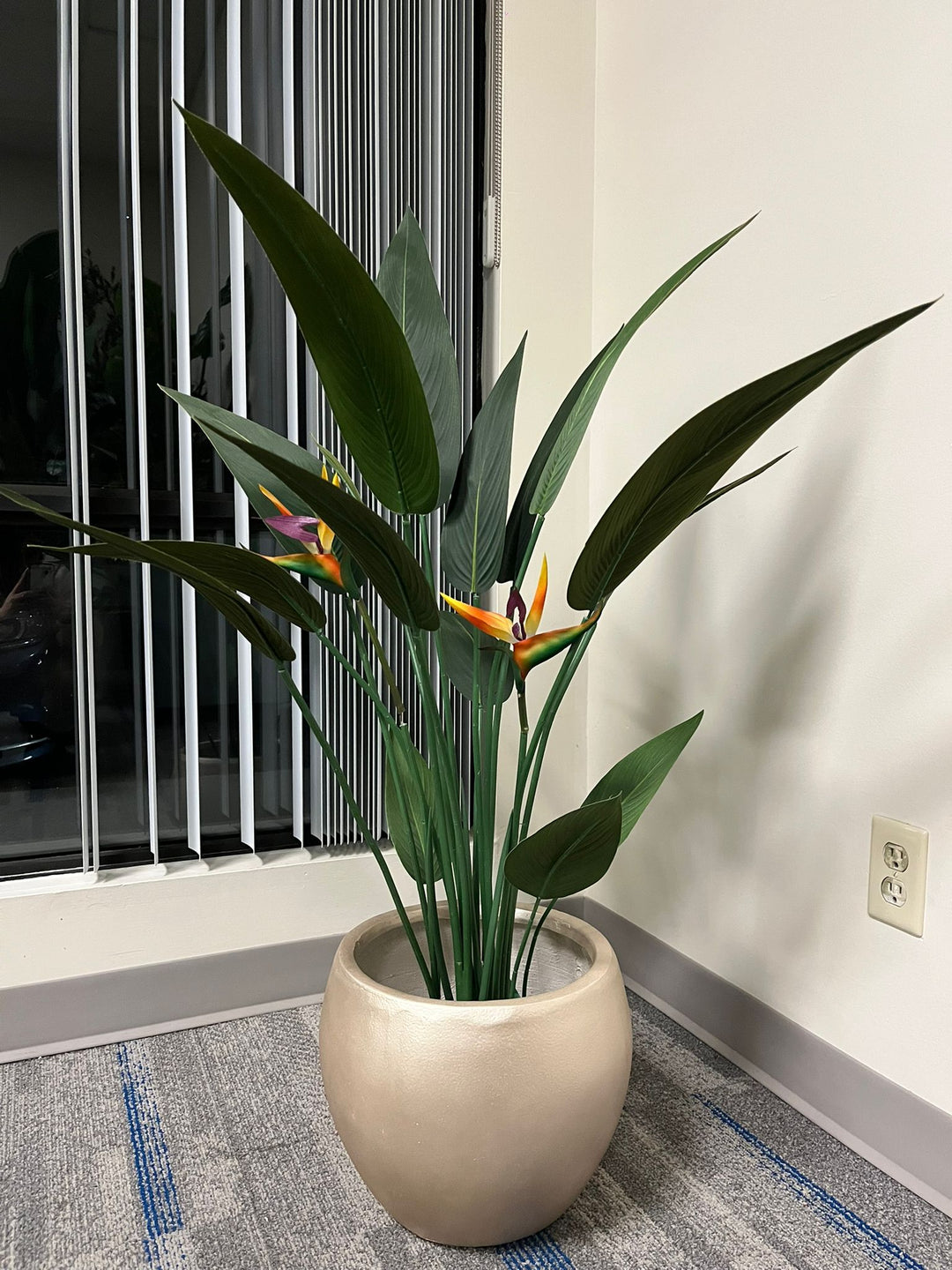 Gold cement round planter with a smooth finish, holding an artificial bird of paradise plant with vibrant green leaves and colorful flowers, placed indoors near a window. Does this planter have a scratch-resistant coating?