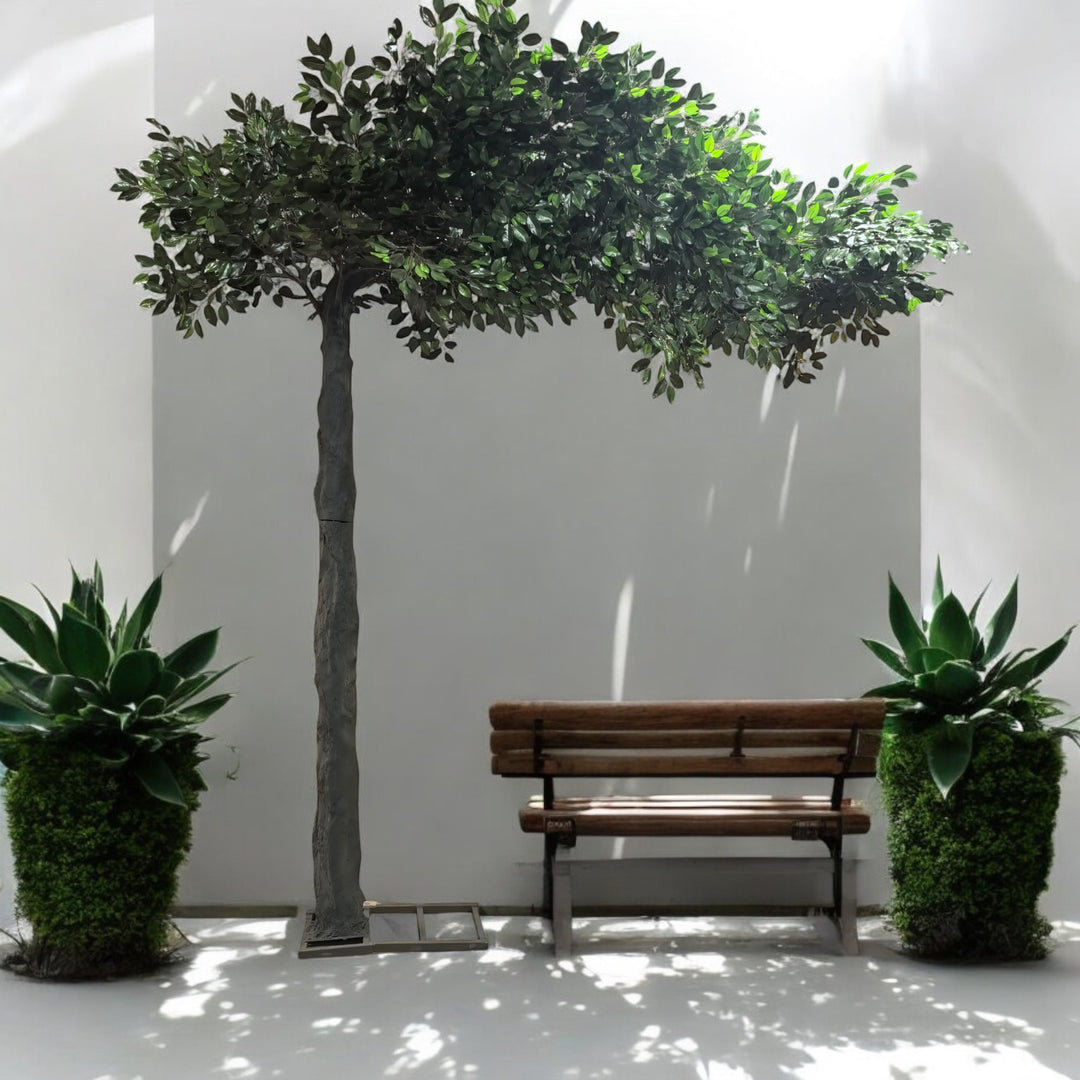 Artificial green tree with lush foliage providing a serene natural setting for weddings or events, complemented by a wooden bench and vibrant potted plants. Perfect for outdoor-themed indoor events. What are the rental options for this elegant setup?