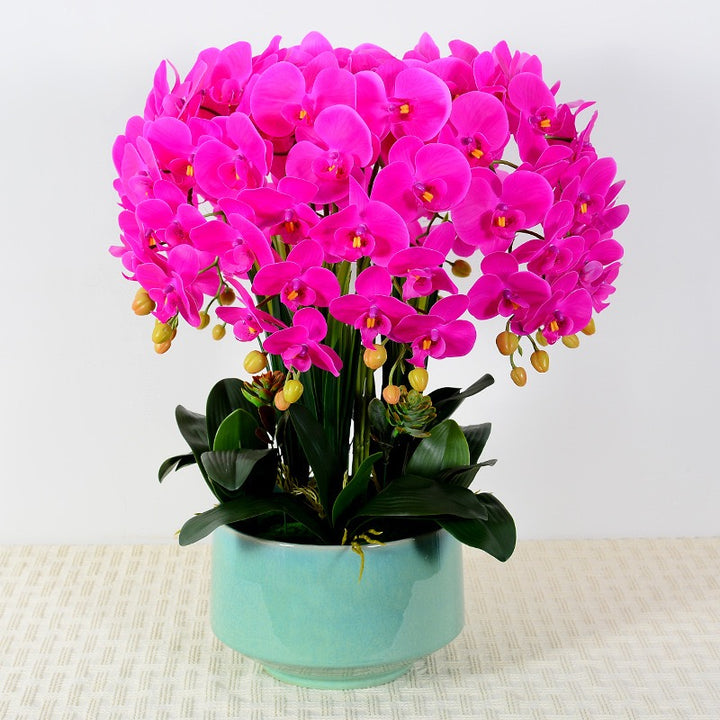 A vibrant artificial orchid arrangement in a bright fuchsia color, displayed in a modern white planter. Frequently asked question: How do I maintain artificial orchids to keep them looking fresh and dust-free?