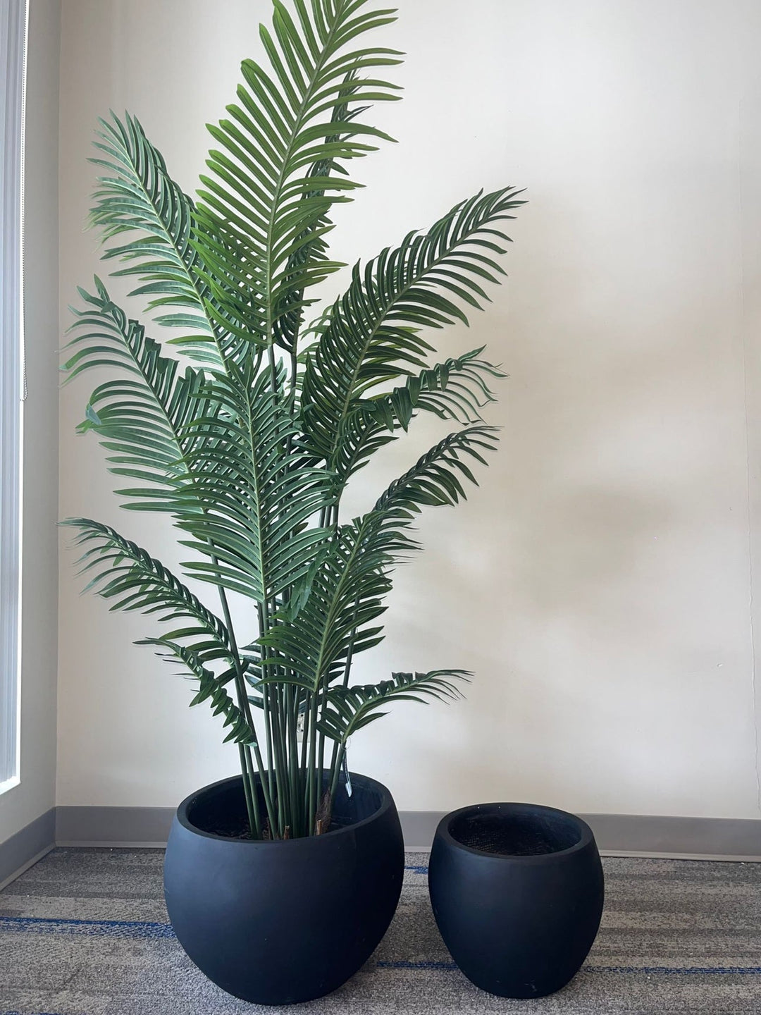 Set of two black round planters with a matte finish, one holding a tall artificial palm plant with lush green leaves, placed indoors against a neutral background. Are the planters fade-resistant for use in sunlight?