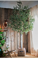 Load image into Gallery viewer, Artificial Olive Tree rustic look- 10ft (300cm)
