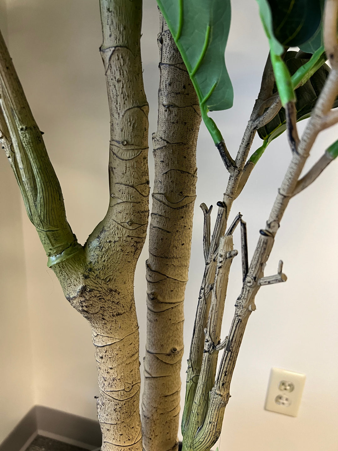 A detailed view of the trunk of the fiddle-leaf fig tree reveals its realistic texture, imitating the natural look of a tree. The intertwining branches and bark patterns add to the lifelike appearance, enhancing the authenticity of this artificial plant.
