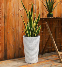 Load image into Gallery viewer, Artificial snake plant with tall, vibrant green and yellow variegated leaves in a white textured planter, set against a wooden outdoor deck. Frequently asked questions: Are artificial snake plants suitable for outdoor use? What type of planter works best for snake plants? How to maintain artificial plants in outdoor spaces?
