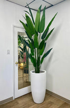 Load image into Gallery viewer, A tall artificial plant with long green leaves placed in a sleek white planter, positioned in the corner of a room with a mirrored door. How can I style artificial plants to enhance my interior decor?
