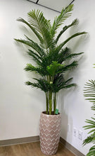 Load image into Gallery viewer, A tall indoor potted palm tree placed in a decorative terracotta pot with a leaf pattern. How to choose the best indoor plants for home decor?
