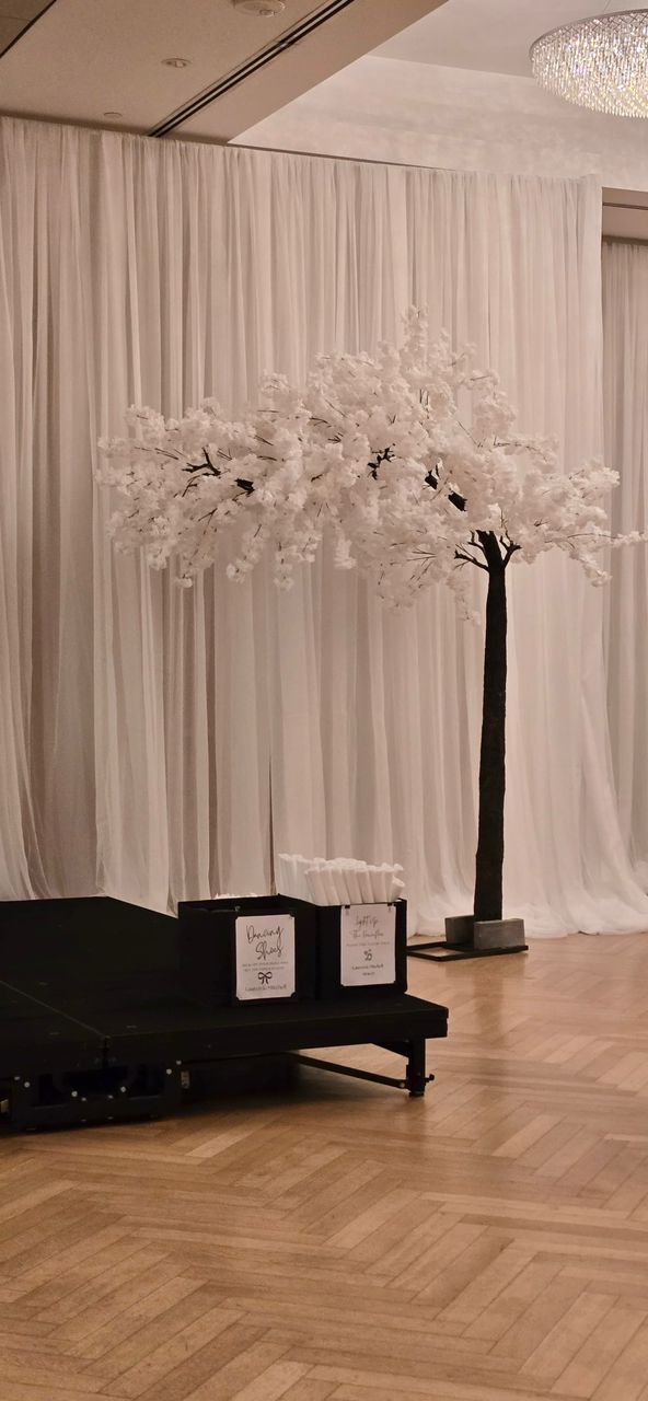 luxury arch-style cherry blossom tree with cascading white flowers at a wedding venue in Toronto.
