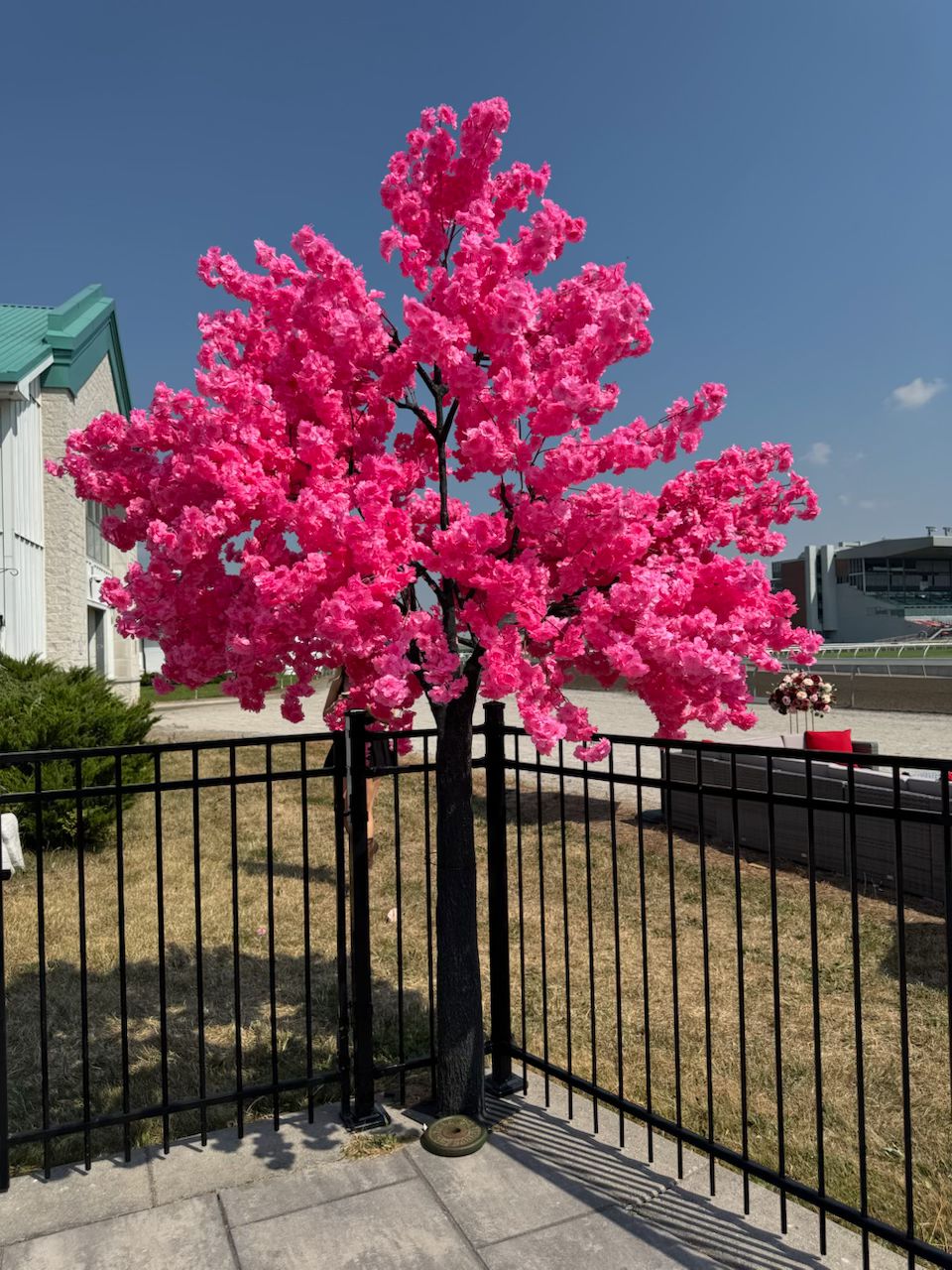 Elegant darkmpink cherry blossom rental used for outdoor decor styling in GTA.