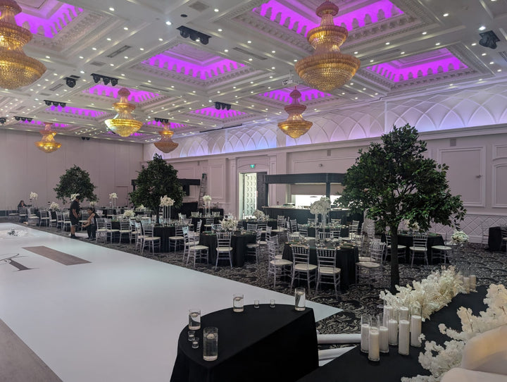 10ft ficus trees rental arranged in a decorated hall in Toronto
