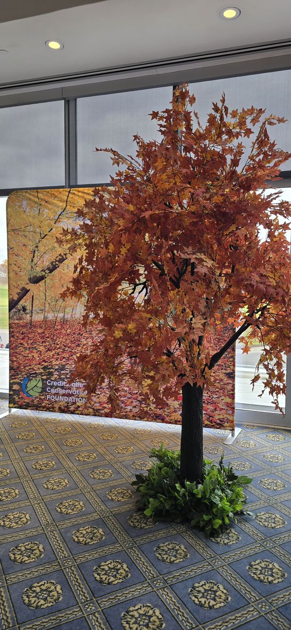 10ft artificial maple tree used at the Lionhead Golf and Conference Centre.