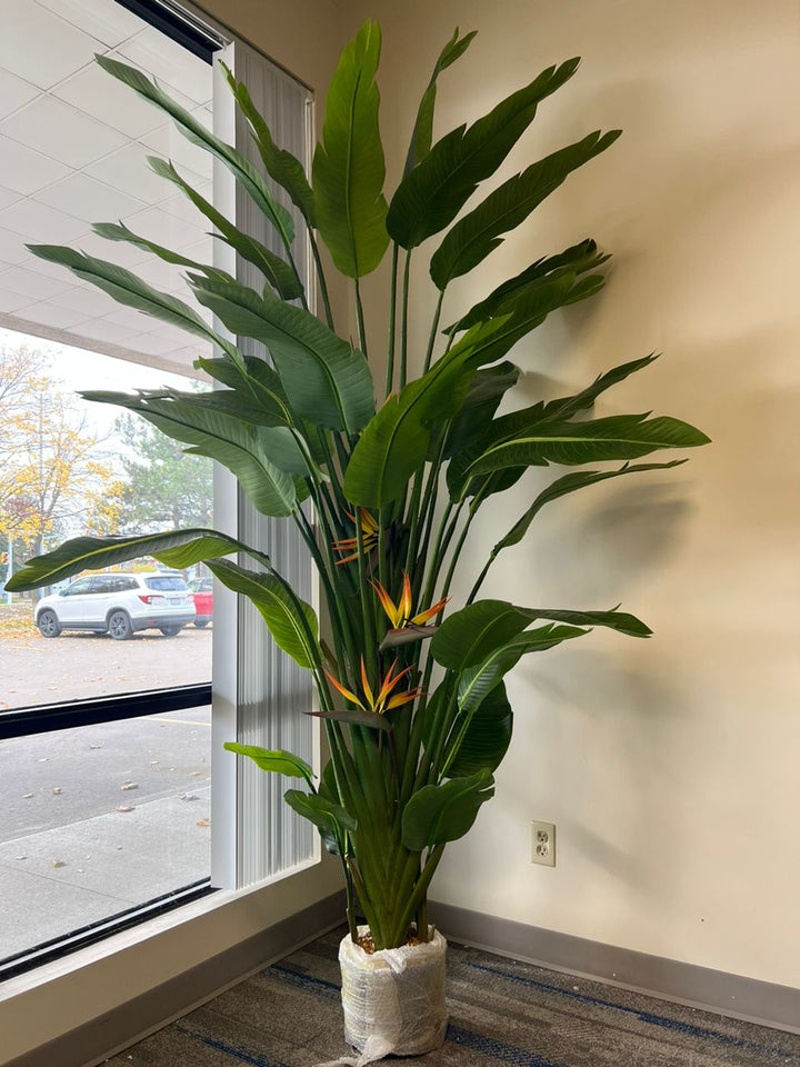Artificial Bird of Paradise -9ft