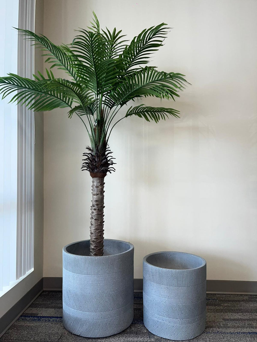 A green palm tree planted in a large light gray, round planter with a ribbed texture. The planter is accompanied by a smaller identical planter placed beside it. Both are positioned against a neutral-colored wall in a bright, well-lit space.