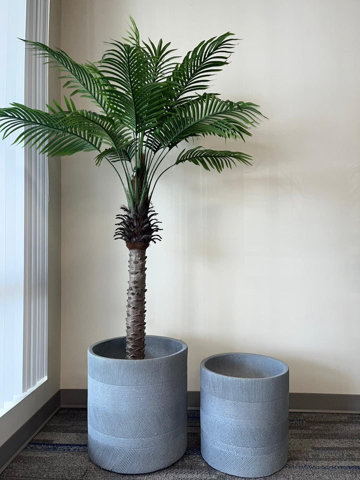 A green palm tree planted in a large light gray, round planter with a ribbed texture. The planter is accompanied by a smaller identical planter placed beside it. Both are positioned against a neutral-colored wall in a bright, well-lit space.