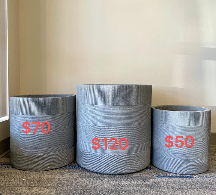 Cement planters. Three round, light gray planters in a minimalist design with horizontal ribbed texture. They are placed against a neutral wall with natural light filtering in.