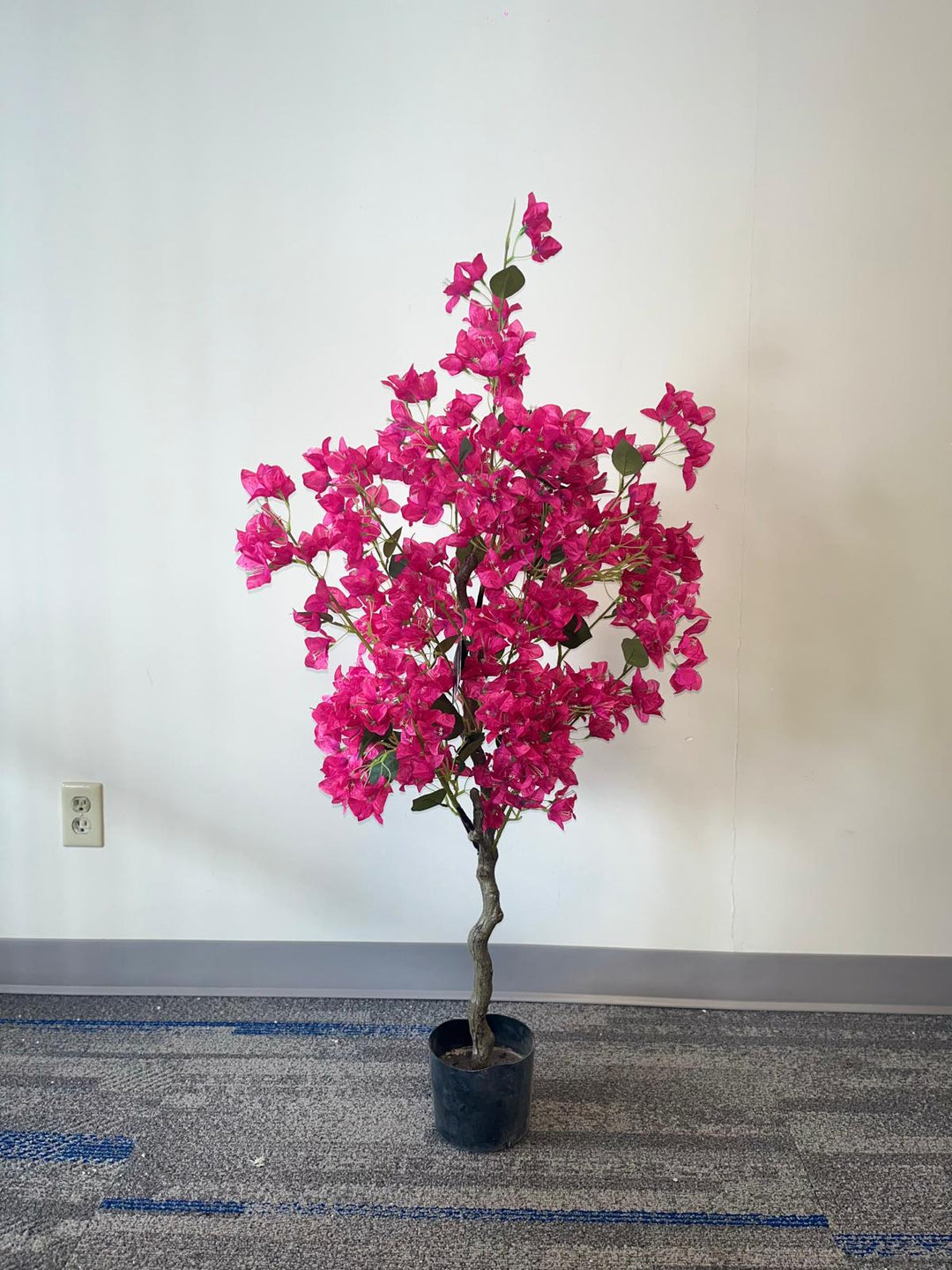 A vibrant artificial plant with bright pink flowers displayed in a compact black pot. The plant stands against a plain wall, with a carpeted floor featuring blue accents. The simple setting allows the vivid pink flowers to be the focal point of the image
