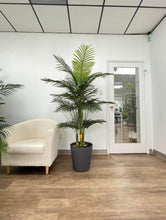 Charger l&#39;image dans la galerie, Indoor artificial palm tree in a gray textured planter placed next to a white armchair. The setting is a modern office space with wooden flooring and a glass-paneled door in the background
