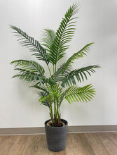 Load image into Gallery viewer, Tall green palm plant in a textured gray planter, placed on a wooden floor against a light-colored wall.
