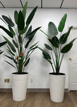 Load image into Gallery viewer, Two artificial tropical plants in tall, textured white planters placed indoors against a plain white wall. Common questions: What are the best large artificial plants for office or home interiors? How do I select tall planters for artificial plants? Are these planters suitable for both indoor and outdoor use?
