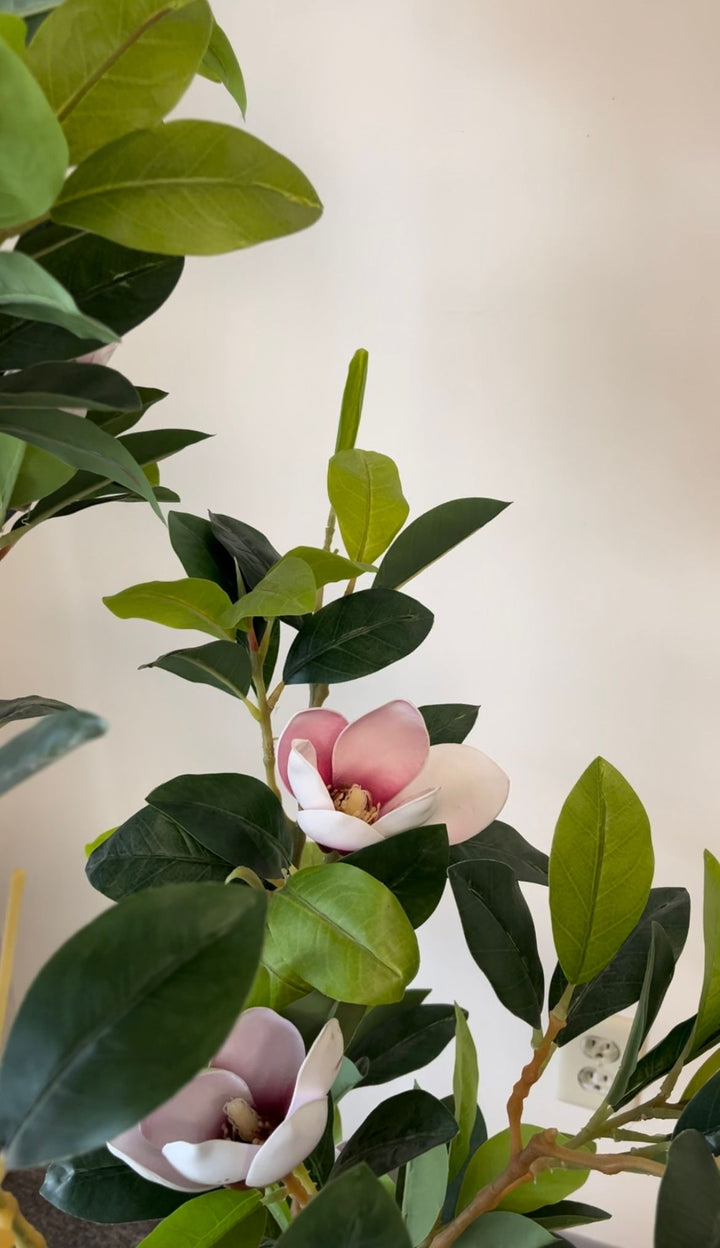 Close-up view of a lush indoor plant with green leaves and blooming pink flowers, set against a beige background in a modern interior