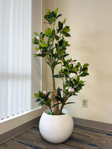 Modern office setting with a lush indoor plant in a round white planter, placed beside vertical blinds on a large window, against a beige wall.