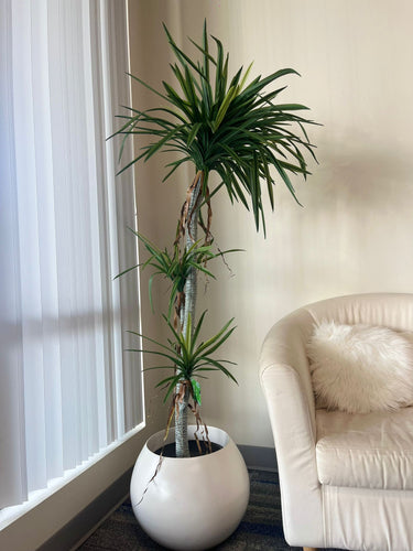 Artificial tall dracaena plant in a white round planter placed next to a cozy beige armchair with a white fur throw pillow, enhancing the minimalist and modern interior design near vertical blinds.