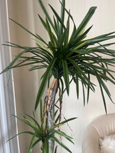 Charger l&#39;image dans la galerie, Close-up view of a tall artificial dracaena plant with realistic green leaves and brown decorative ribbon accents on the trunk, providing a detailed look at its lifelike design for home or office decor
