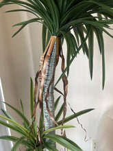 Charger l&#39;image dans la galerie, Close-up view of a tall artificial dracaena plant with realistic green leaves and brown decorative ribbon accents on the trunk, providing a detailed look at its lifelike design for home or office decor.
