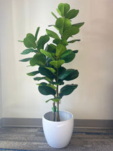 Load image into Gallery viewer, Artificial Fiddle Fig Tree 4ft
