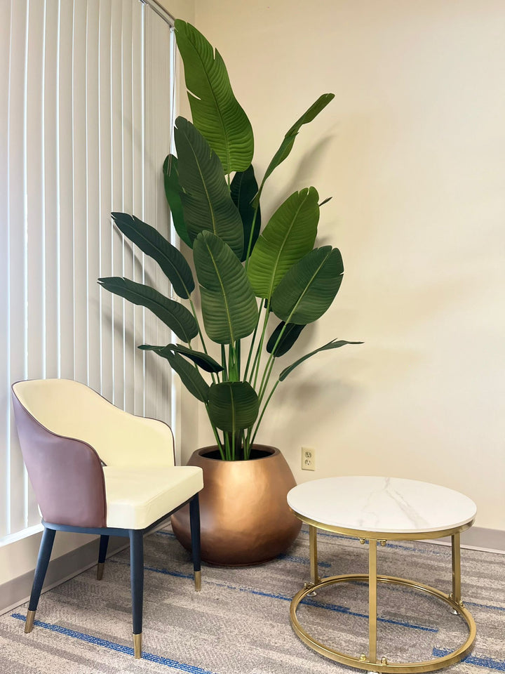 Modern Two-Tone Brown and White Dinning Chair