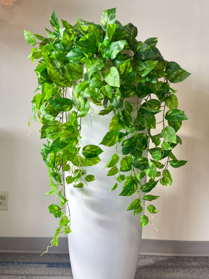 Vivid Hanging Green Stems