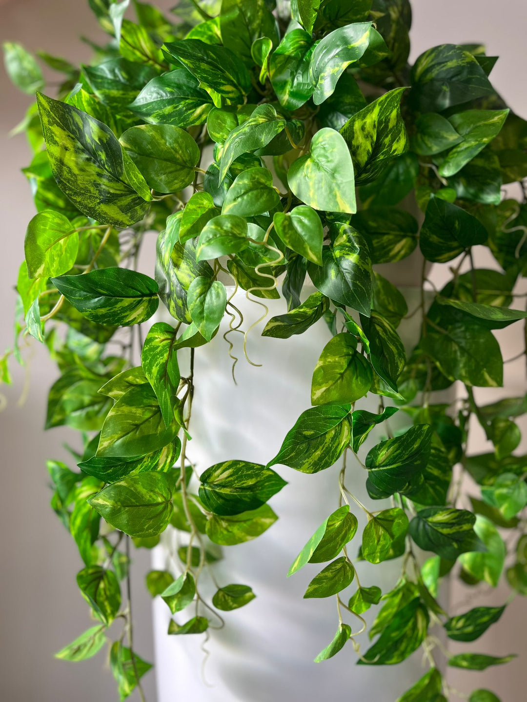 Vivid Hanging Green Stems
