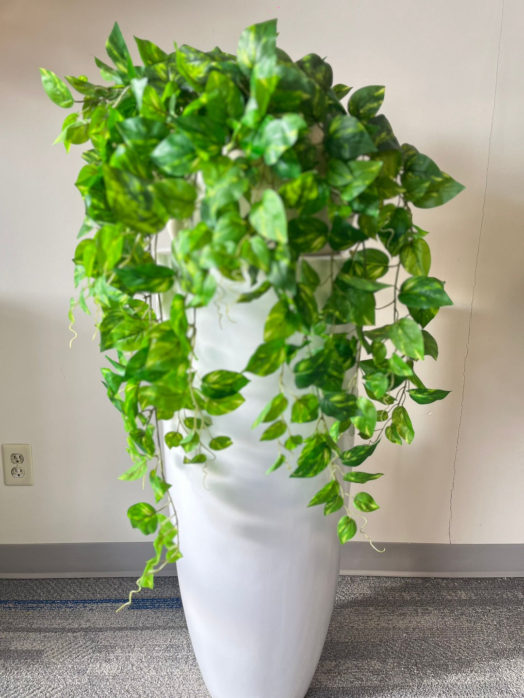 Vivid Hanging Green Stems