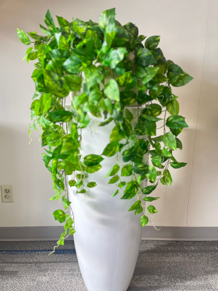 Vivid Hanging Green Stems