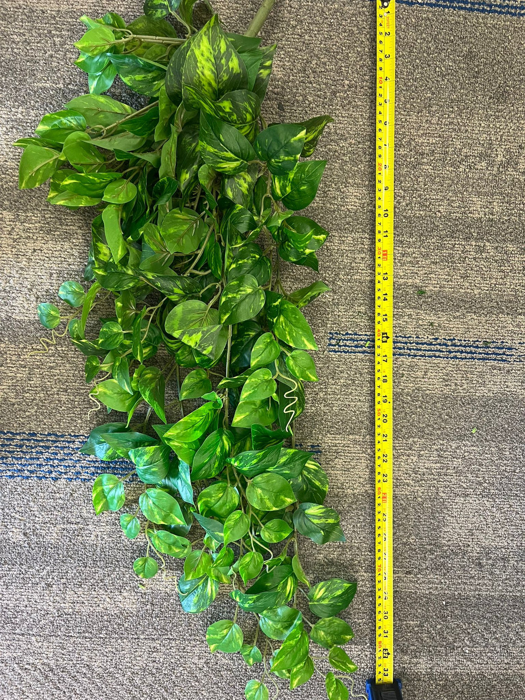 Vivid Hanging Green Stems