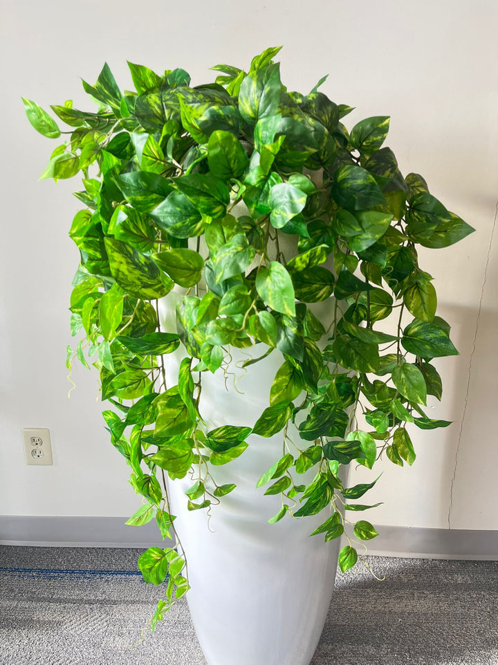 Vivid Hanging Green Stems