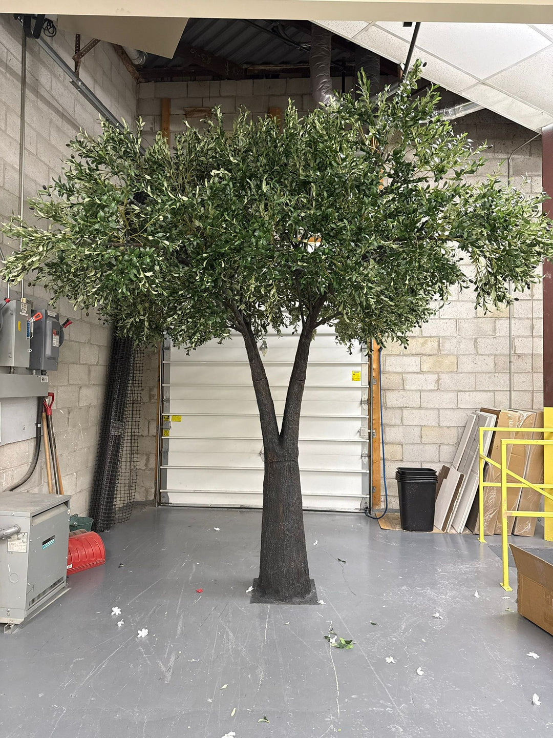 12ft Artificial olive tree in a warehouse setting.