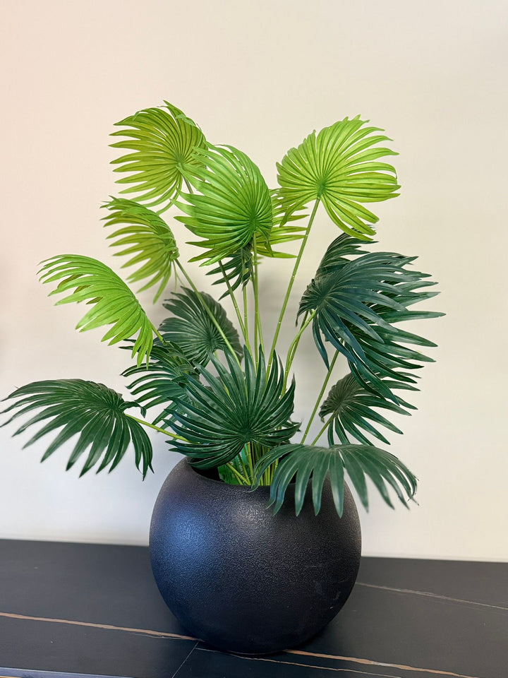 Tabletop faux fan palm plant in a decorative lack pot on wooden shelf in contemporary interior