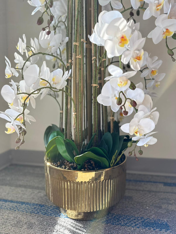 White orchids in a gold pot on a reflective surface with a neutral background.