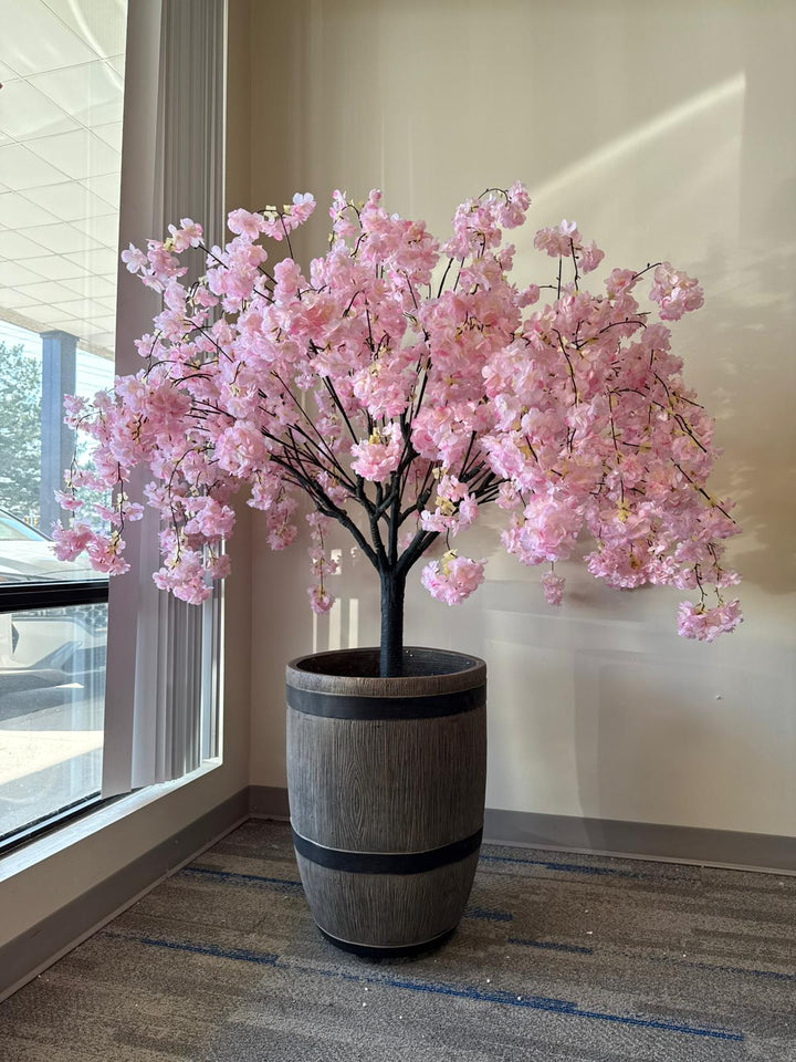 4ft Light Pink Weeping Cherry Blossom Tree