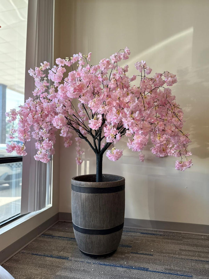 4ft Light Pink Weeping Cherry Blossom Tree