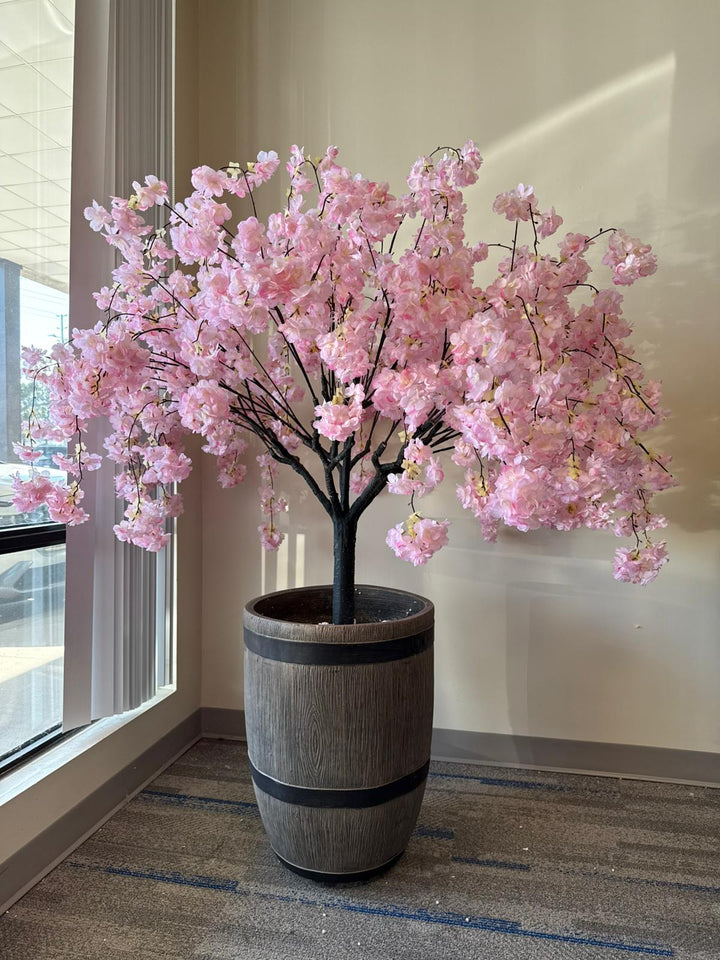 4ft Light Pink Weeping Cherry Blossom Tree