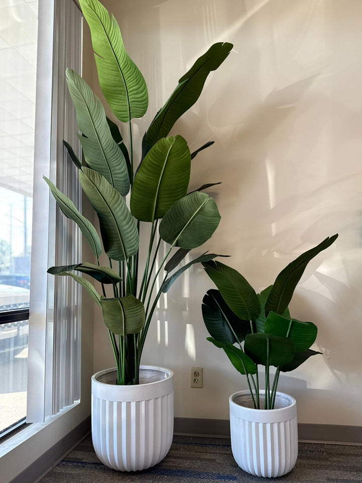 Modern Ribbed Cement Planter