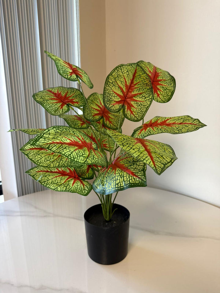 Artificial Caladium Desk Plant – 28"
