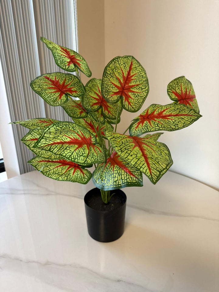 Artificial Caladium Desk Plant – 28"