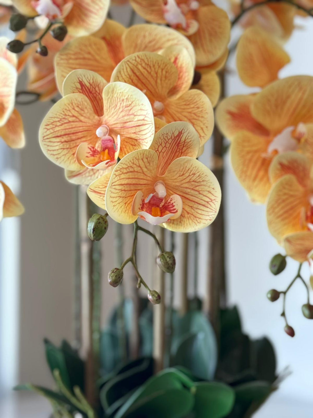 Real Touch Orange Orchid Arrangement with Silver Vase