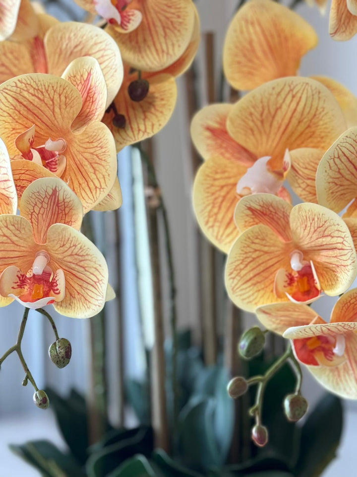 Real Touch Orange Orchid Arrangement with Silver Vase
